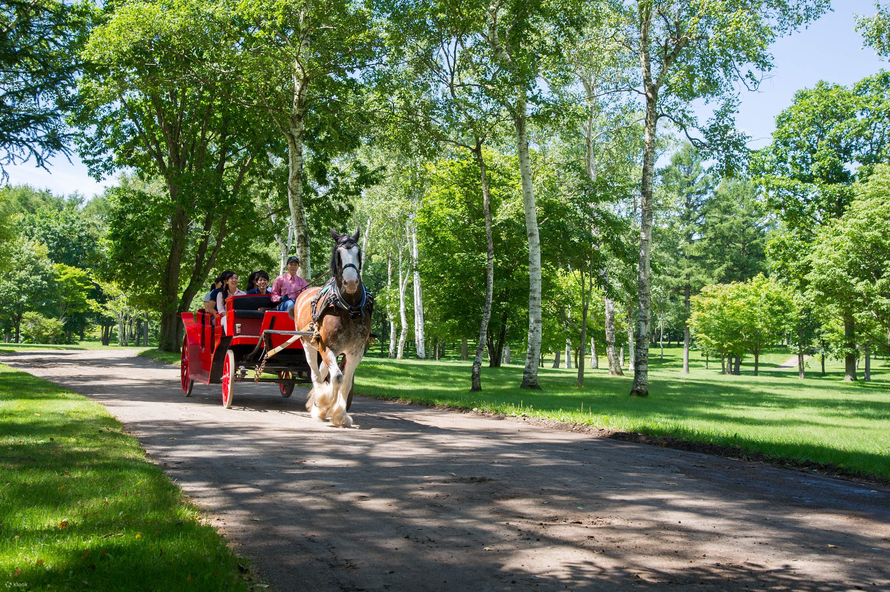 ノーザンホースパーク・入園チケット＆引馬セット券（北海道
